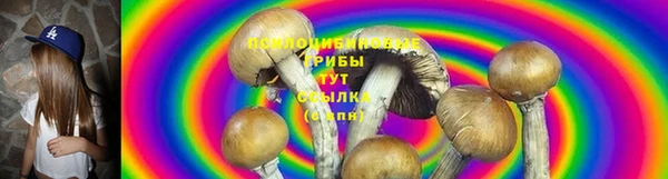 прущие грибы Карпинск