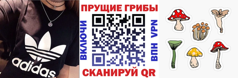 Псилоцибиновые грибы Cubensis  blacksprut   Топки 