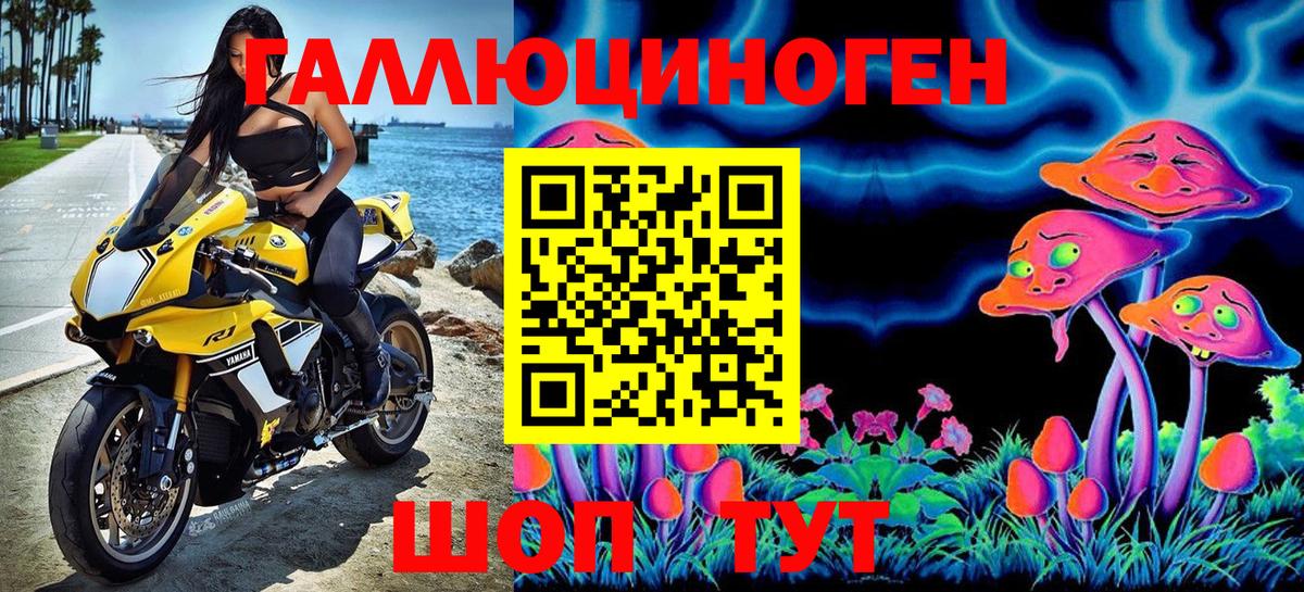 Псилоцибиновые грибы GOLDEN TEACHER Топки