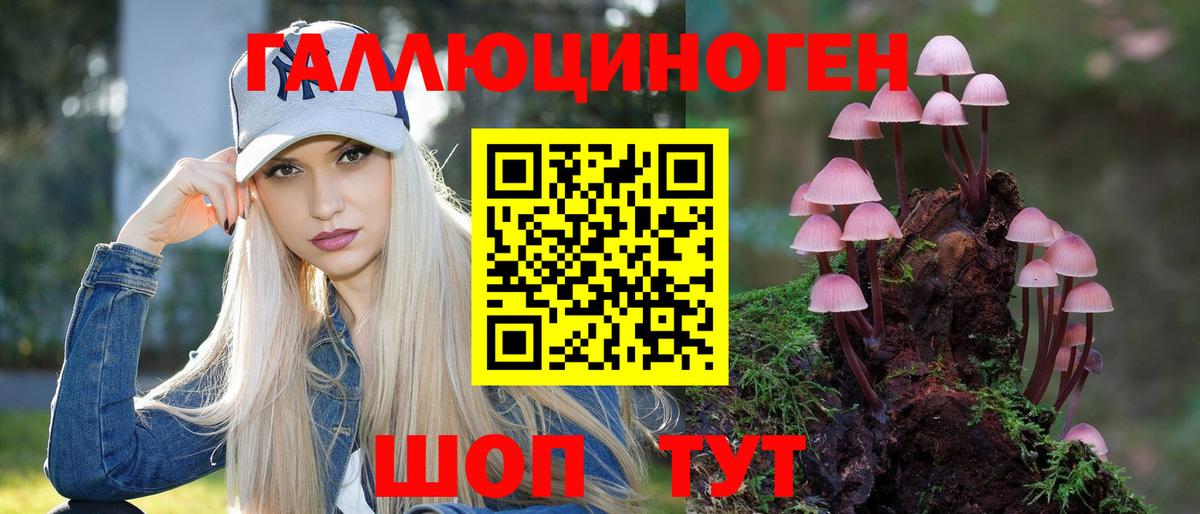 Псилоцибиновые грибы GOLDEN TEACHER  Галлюциногенные грибы Cubensis  Вход с VPN  Топки 
