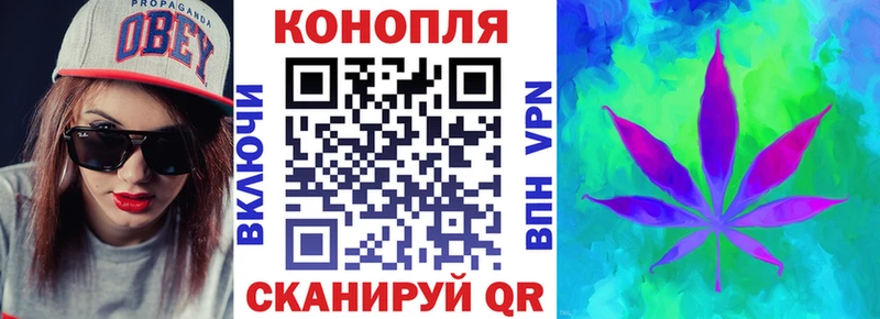 блэк спрут зеркало  Топки  Конопля план 